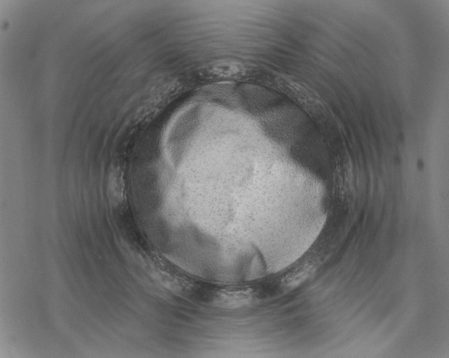 X0000076390606200610271555