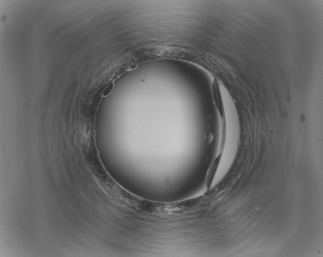 X0000076390607200610271555