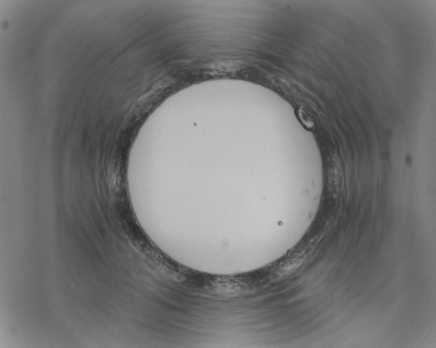 X0000076390608200610271555