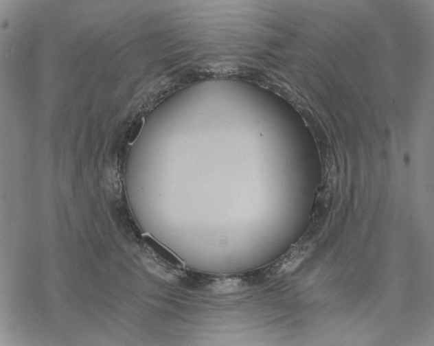 X0000076390609200610271554