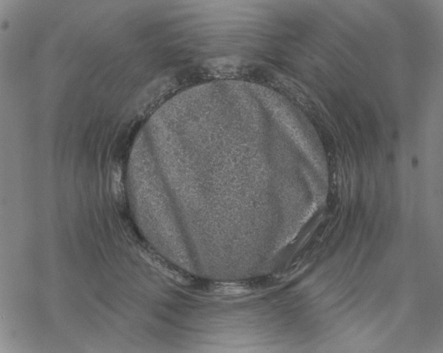 X0000076390610200610271554