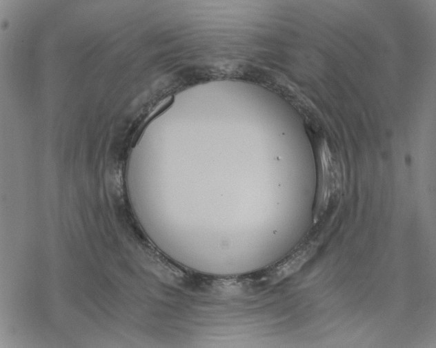 X0000076390613200610271554