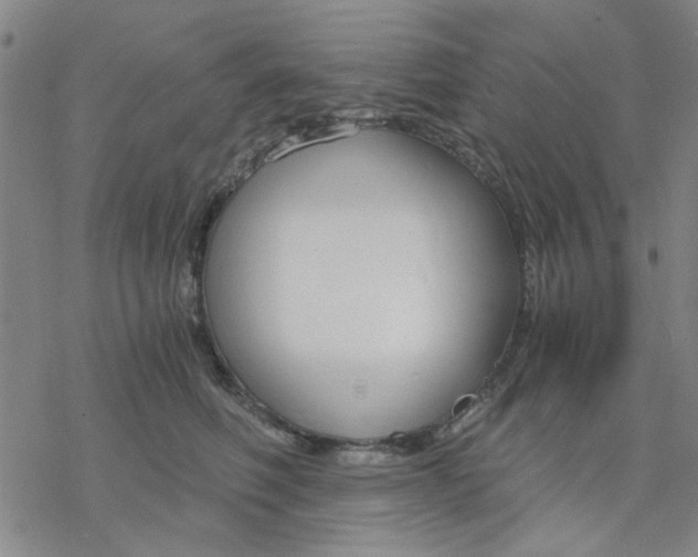 X0000076390614200610271554