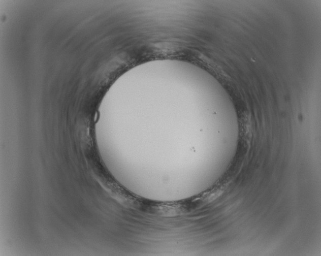 X0000076390615200610271554