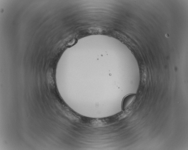 X0000076390616200610271554