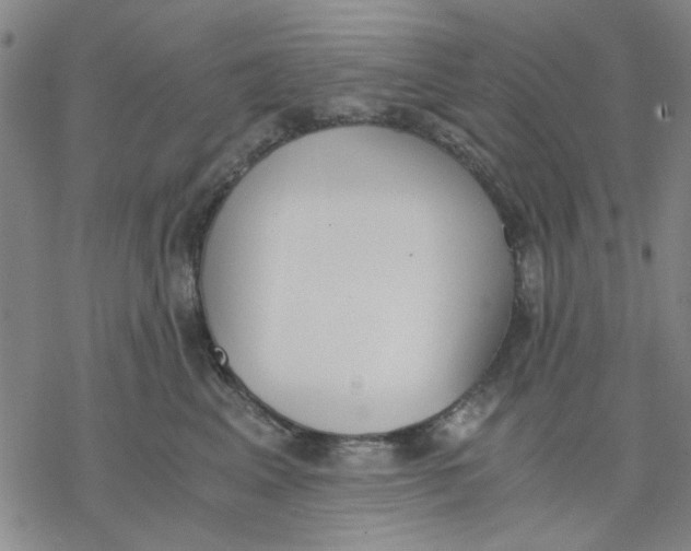 X0000076390617200610271554