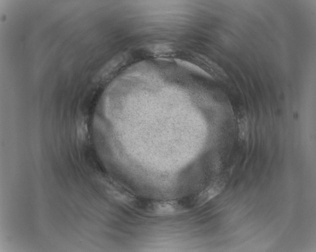 X0000076390618200610271554