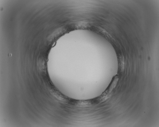 X0000076390619200610271554