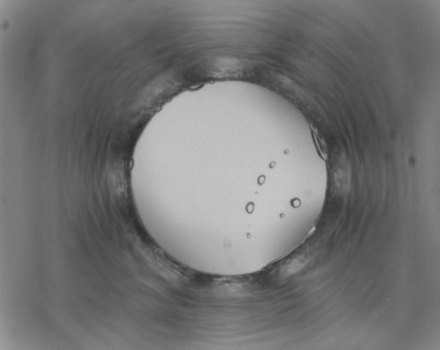 X0000076390620200610271554