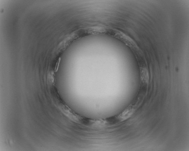 X0000076390621200610271554