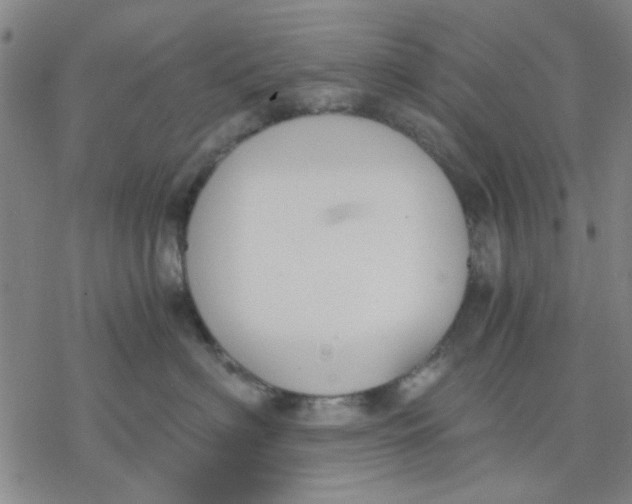 X0000076390622200610271554