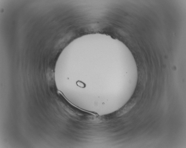 X0000076390624200610271554