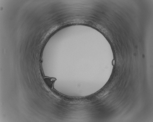 X0000076390625200610271553