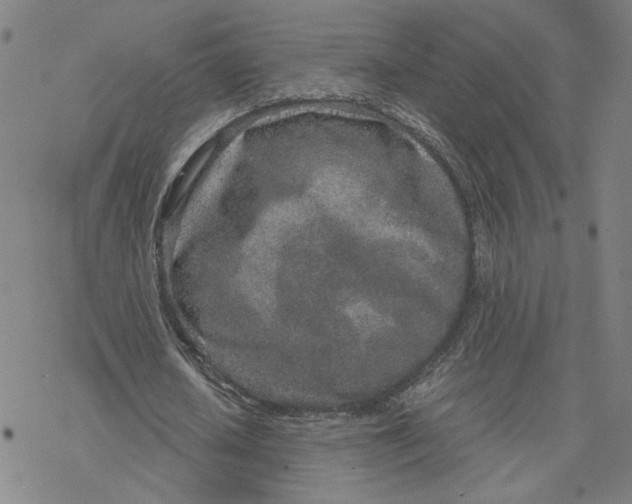 X0000076390626200610271553