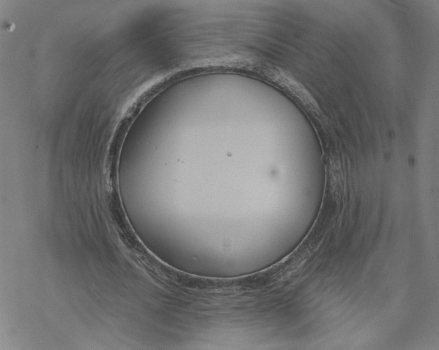 X0000076390628200610271554