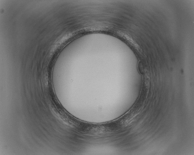 X0000076390631200610271554