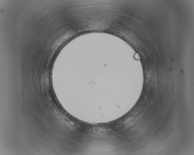 X0000076390632200610271554