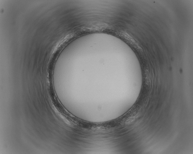 X0000076390634200610271554