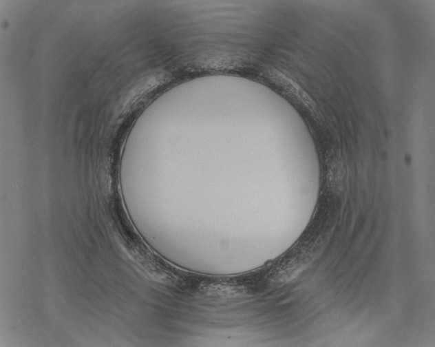 X0000076390635200610271554