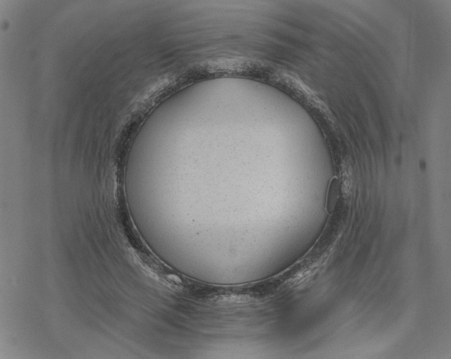 X0000076390637200610271554