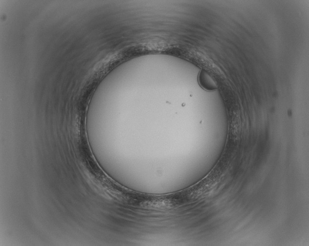 X0000076390639200610271554