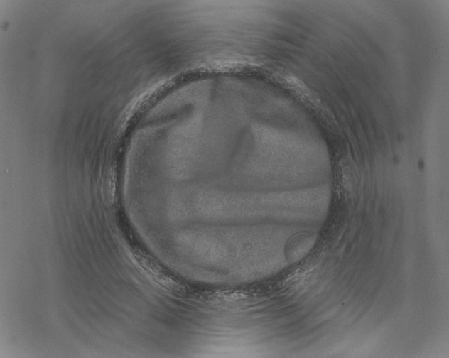 X0000076390640200610271554