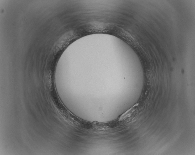 X0000076390642200610271554