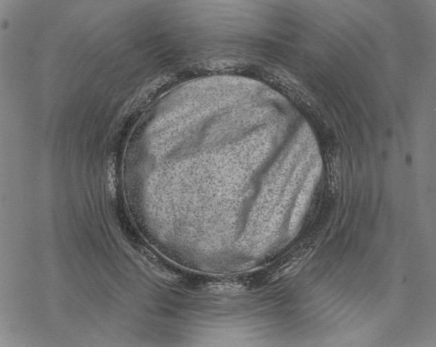 X0000076390644200610271554