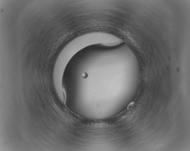 X0000076390645200610271554