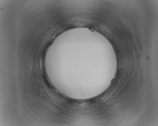 X0000076390646200610271554