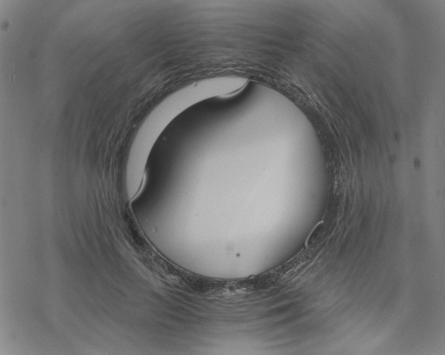 X0000076390647200610271554