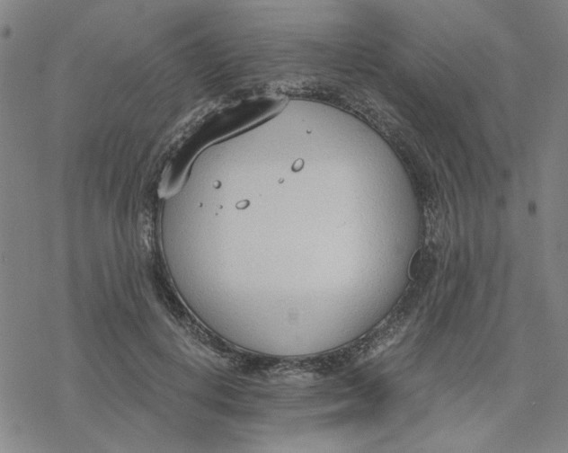 X0000076390648200610271554