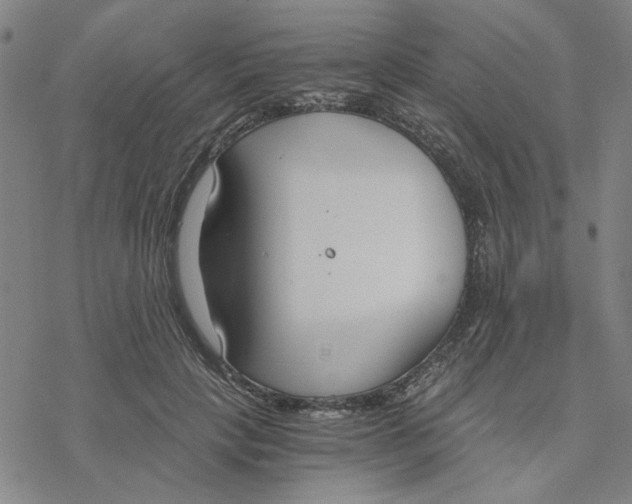 X0000076390649200610271554