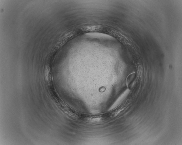 X0000076390651200610271554