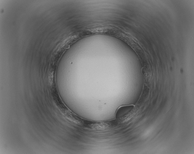 X0000076390652200610271554