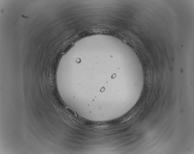 X0000076390653200610271554