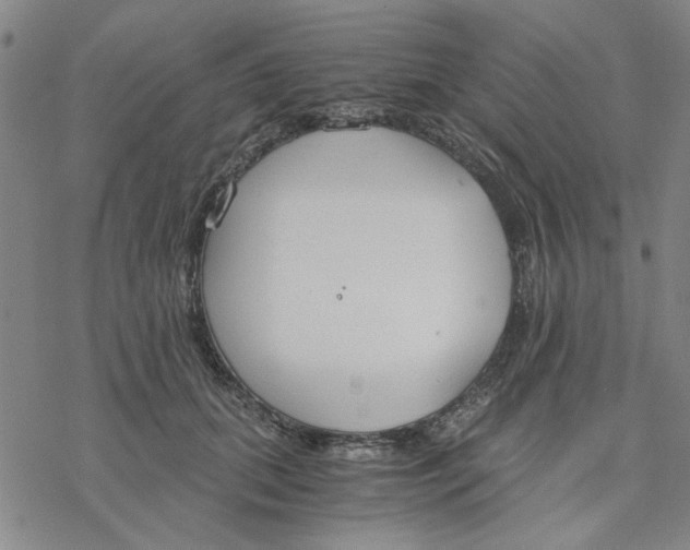 X0000076390655200610271554