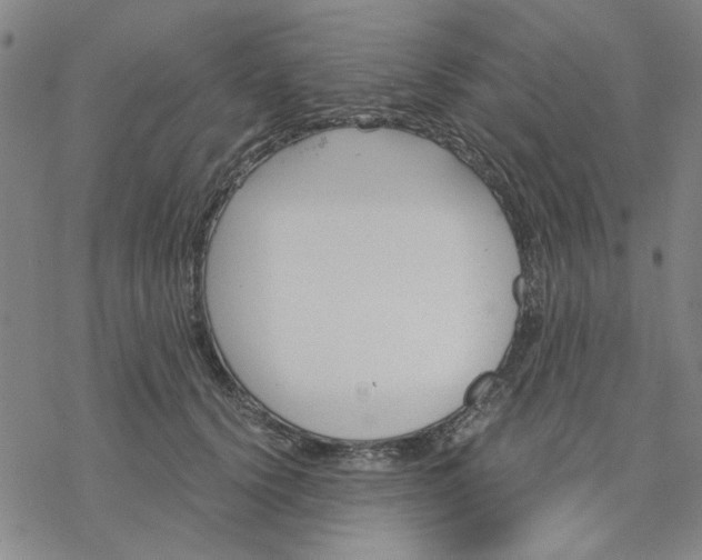 X0000076390656200610271554