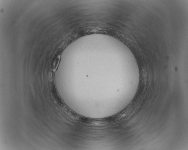 X0000076390657200610271554