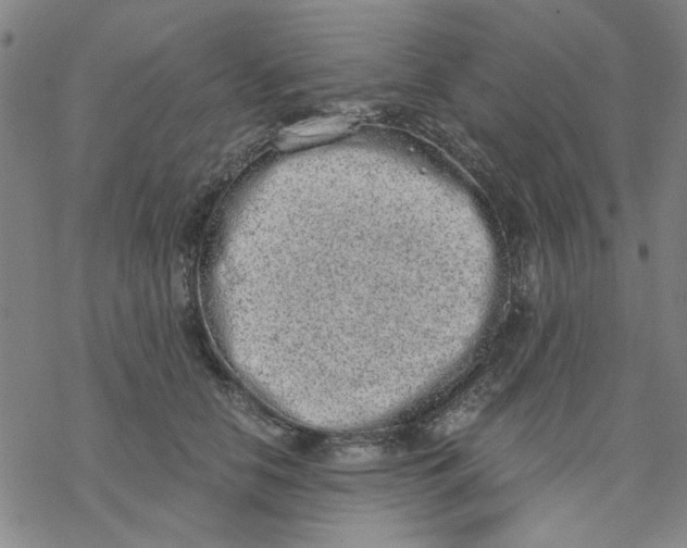 X0000076390658200610271554