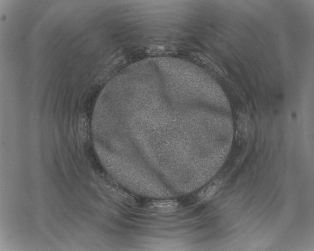 X0000076390659200610271554