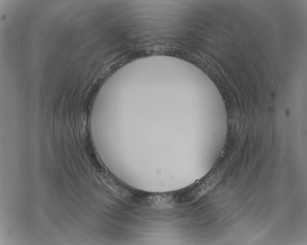 X0000076390660200610271554