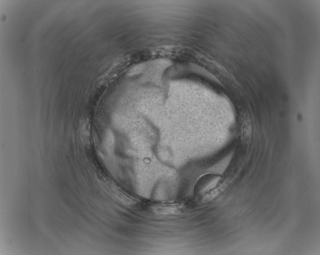 X0000076390661200610271554