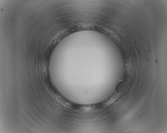 X0000076390662200610271554