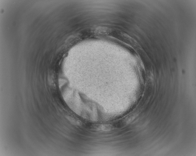 X0000076390663200610271554