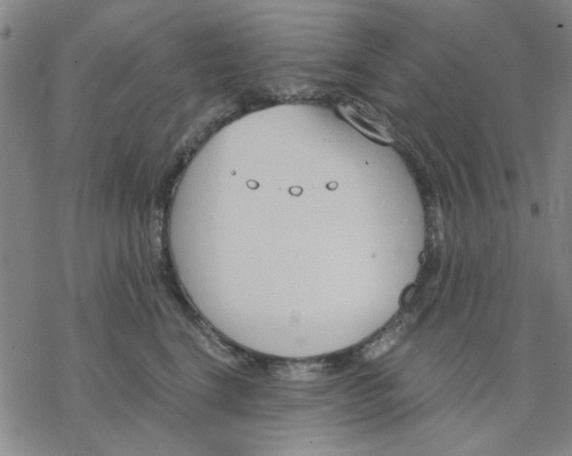 X0000076390664200610271554