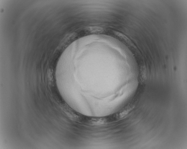 X0000076390667200610271554