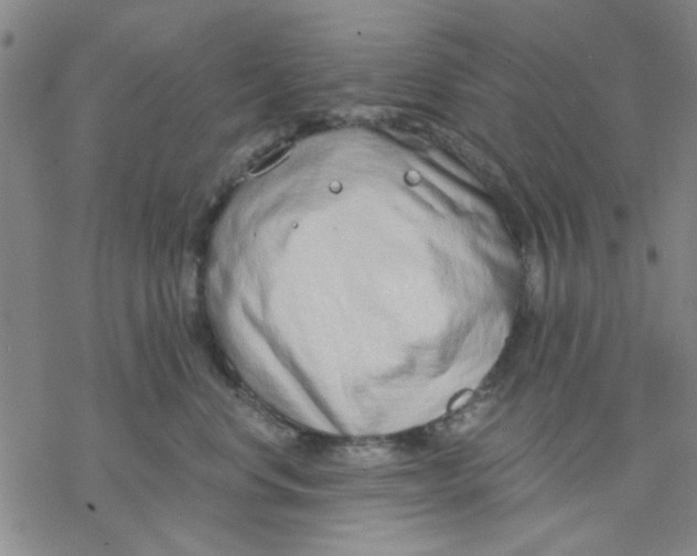 X0000076390668200610271554