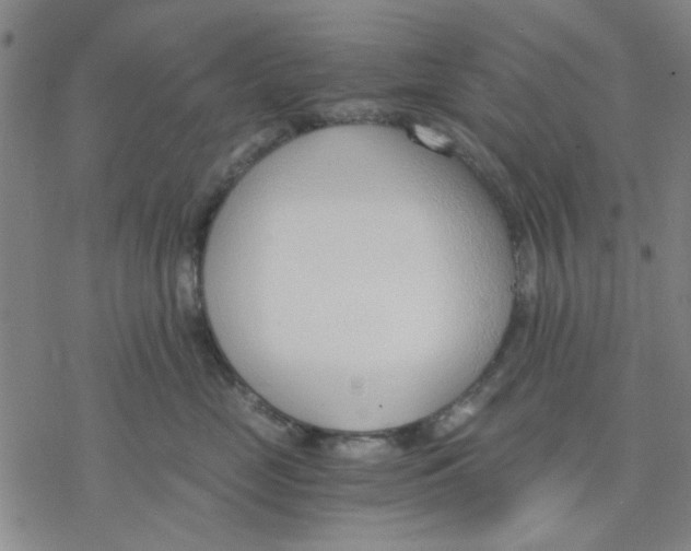 X0000076390669200610271554