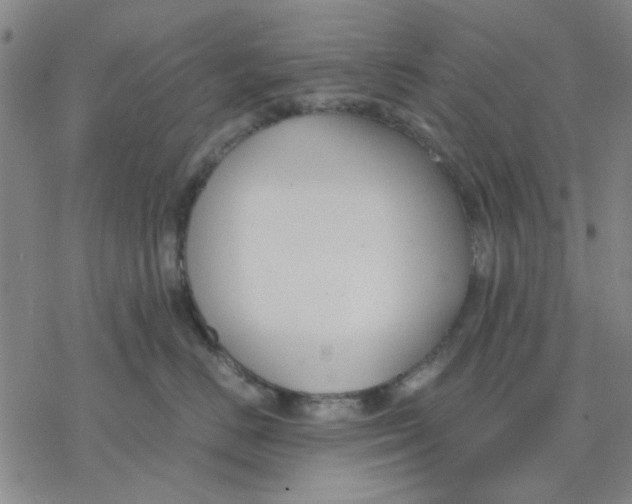 X0000076390670200610271554